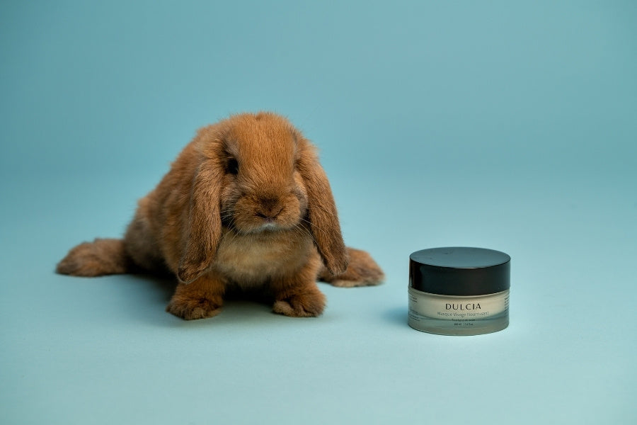 7 Bonnes raisons d'opter pour des soins biologiques, naturels et végan pour la peau